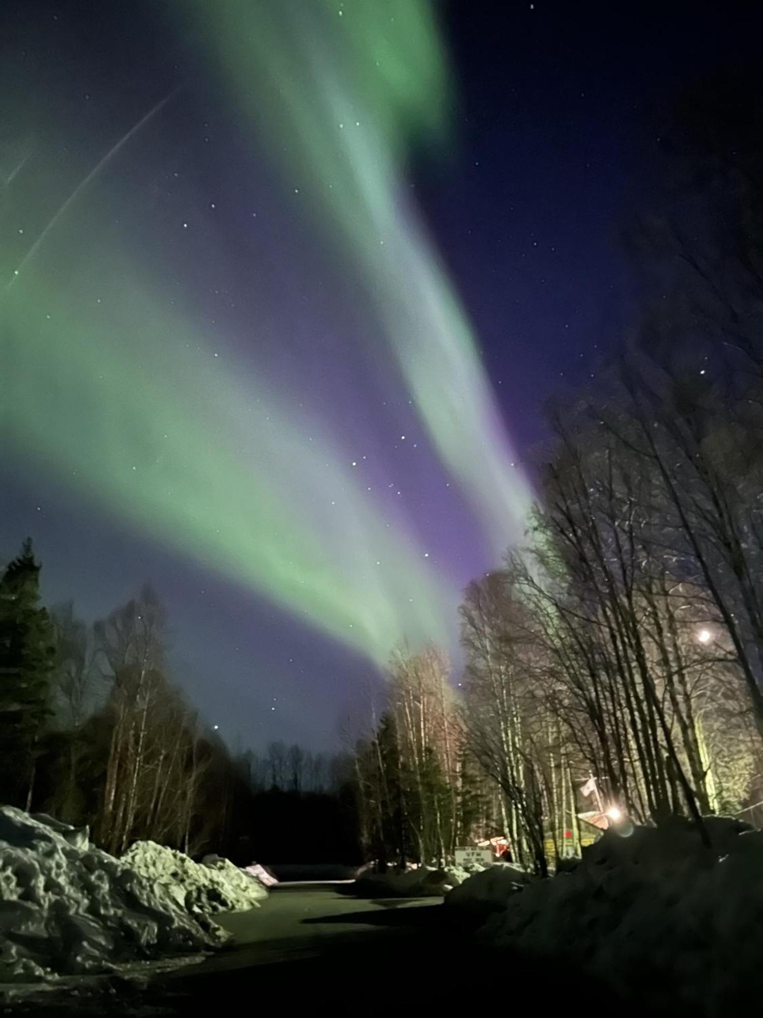 Talkeetna Villas And Tours Dış mekan fotoğraf