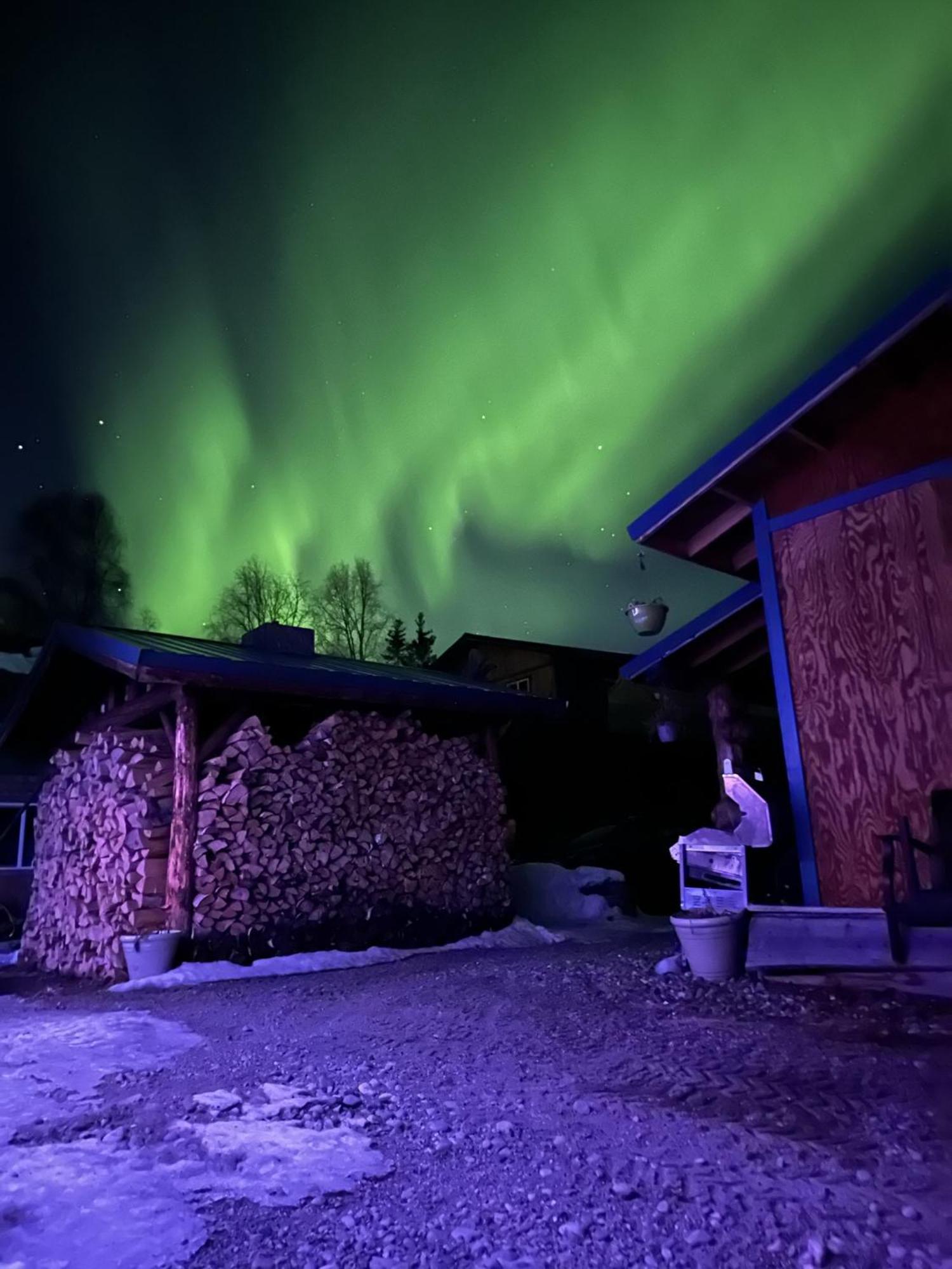 Talkeetna Villas And Tours Dış mekan fotoğraf